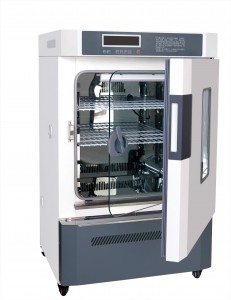 Mold Incubator Laboratory Incubator